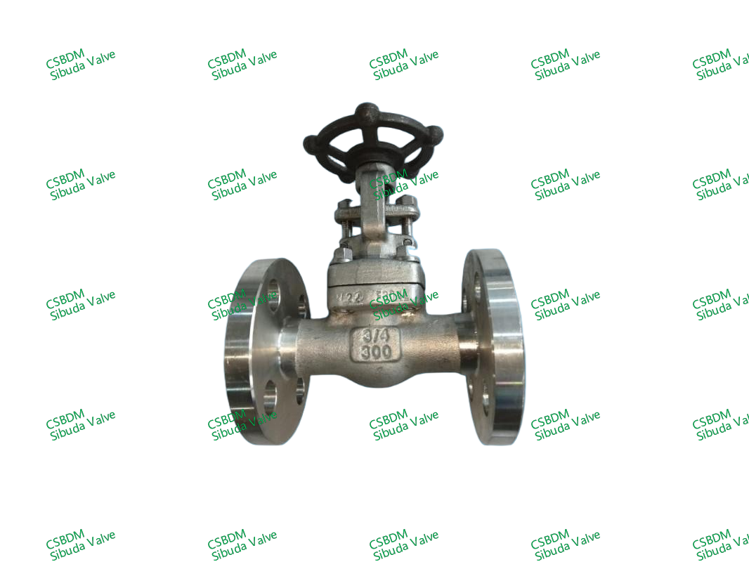 API602/BS5352 Gate Valves