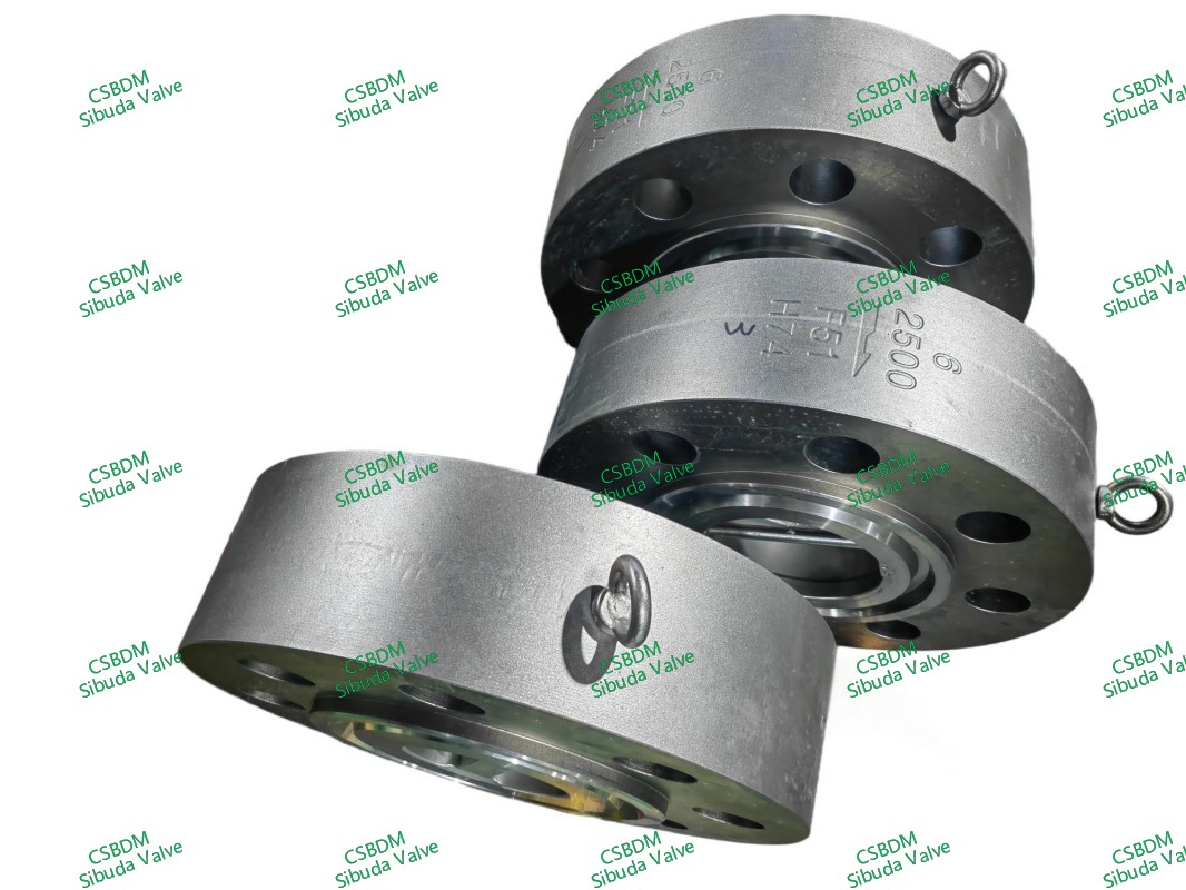 API 594 Dual Plate Check Valves
