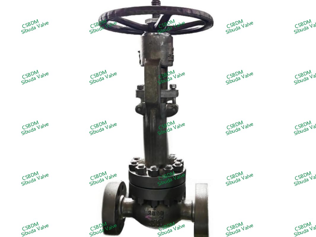 BS1873 Globe Valves