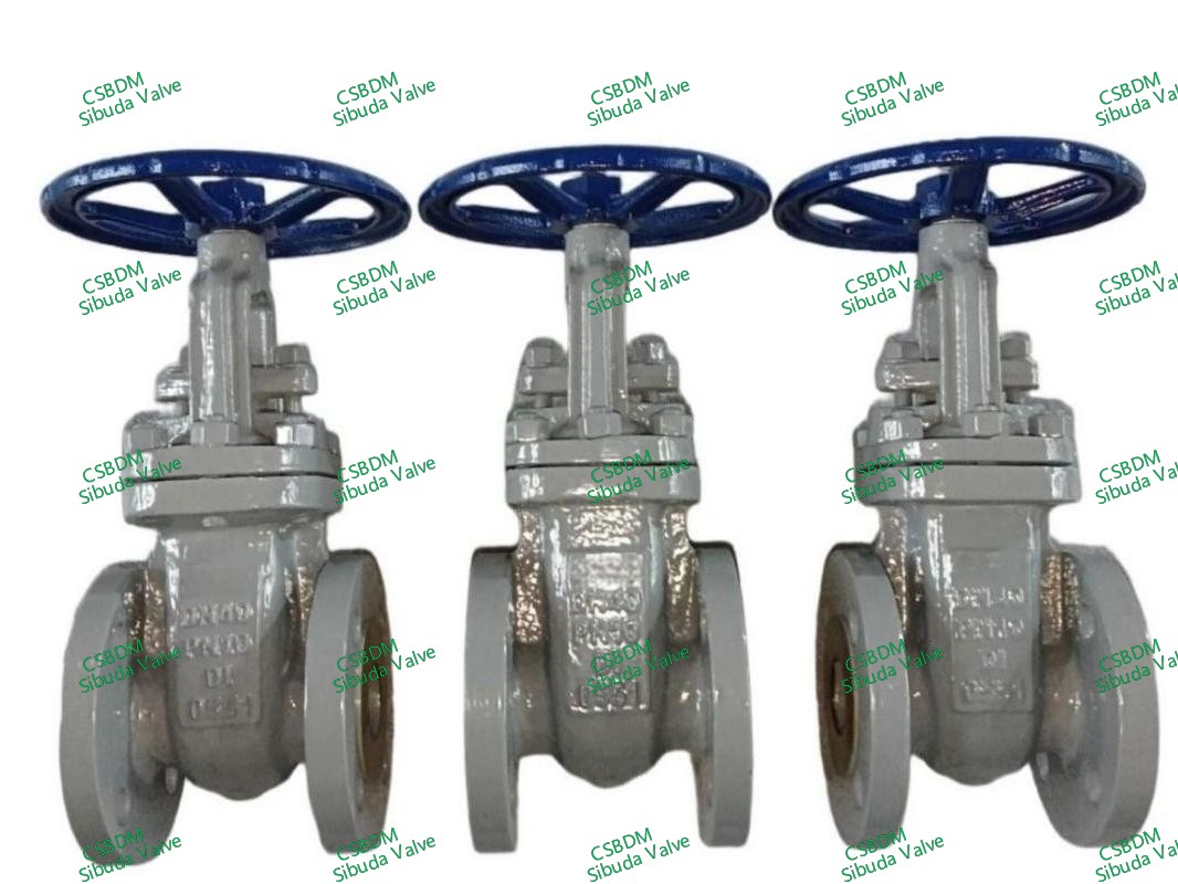 DIN Gate Valves